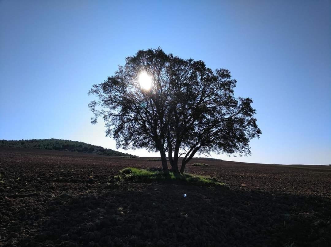 فندق Sleeping ساريا المظهر الخارجي الصورة